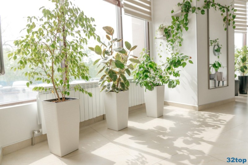 DR. POLUYEV DENTAL CLINIC (ДОКТОР ПОЛУЕВ ДЕНТАЛ КЛИНИК)