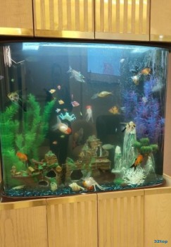 Стоматология ONE DENT (ВАН ДЭЕНТ) на Нурсат