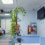 Стоматология МАСТЕР-ДЕНТ