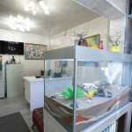 Стоматологическая клиника CLASSIC-AR (КЛАССИК-АР) м. Москва