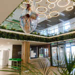 Центр медицинской заботы GREEN CLINIC (ГРИН КЛИНИК)